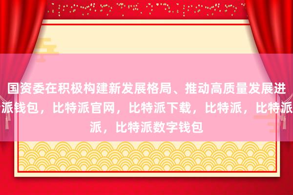 国资委在积极构建新发展格局、推动高质量发展进程中比特派钱包，比特派官网，比特派下载，比特派，比特派数字钱包