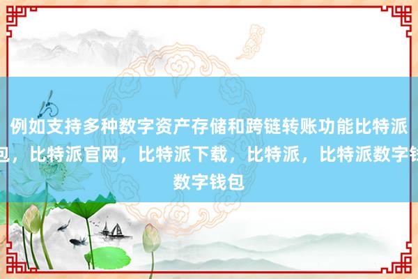 例如支持多种数字资产存储和跨链转账功能比特派钱包，比特派官网，比特派下载，比特派，比特派数字钱包