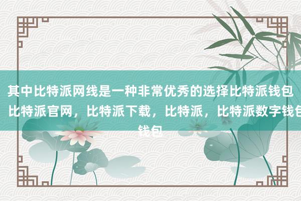 其中比特派网线是一种非常优秀的选择比特派钱包，比特派官网，比特派下载，比特派，比特派数字钱包