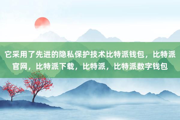 它采用了先进的隐私保护技术比特派钱包，比特派官网，比特派下载，比特派，比特派数字钱包