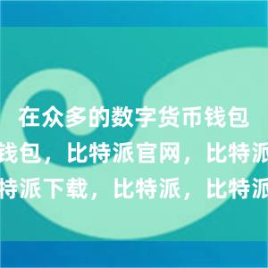 在众多的数字货币钱包中比特派钱包，比特派官网，比特派下载，比特派，比特派数字钱包