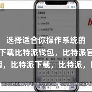 选择适合你操作系统的版本进行下载比特派钱包，比特派官网，比特派下载，比特派，比特派数字钱包
