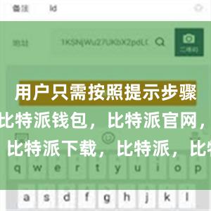 用户只需按照提示步骤进行设置比特派钱包，比特派官网，比特派下载，比特派，比特派数字钱包