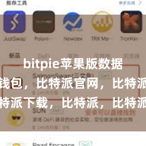 bitpie苹果版数据显示比特派钱包，比特派官网，比特派下载，比特派，比特派数字钱包